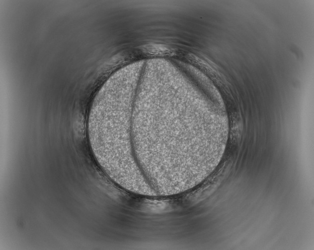 X0000112400469200909110933