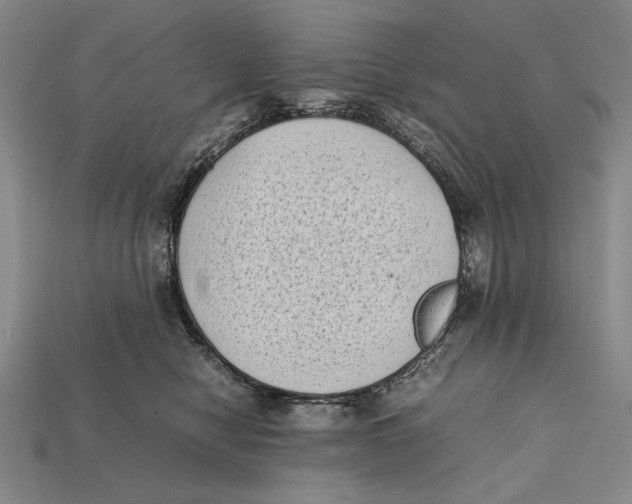 X0000112400470200909110933