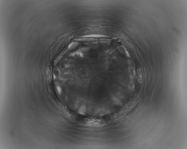 X0000112400471200909110933