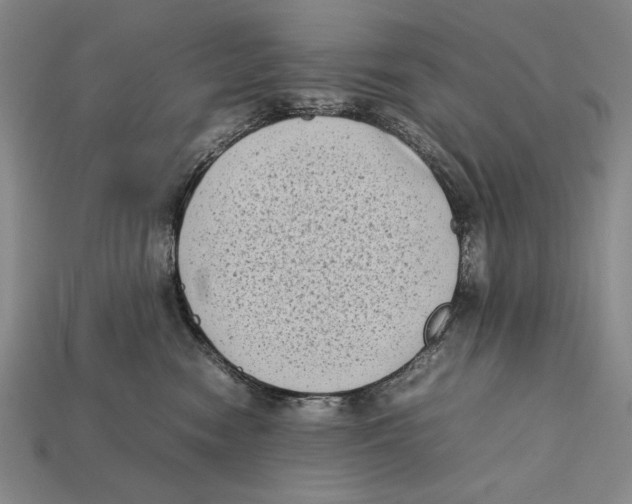 X0000112400474200909110933