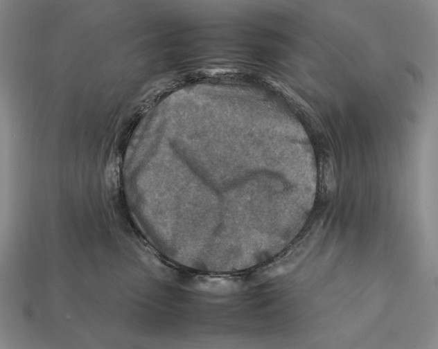 X0000112400475200909110933