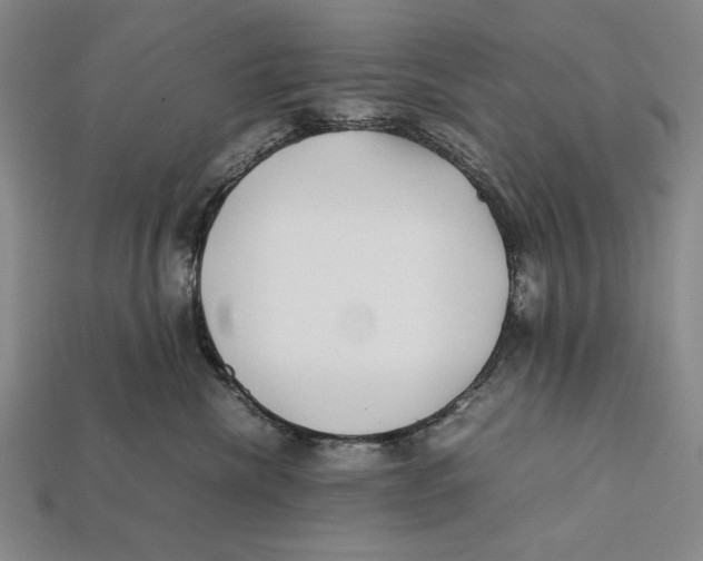 X0000112400476200909110933