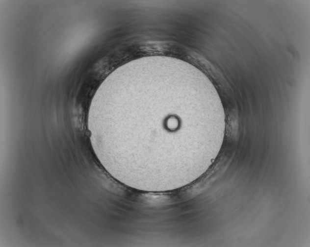 X0000112400477200909110933