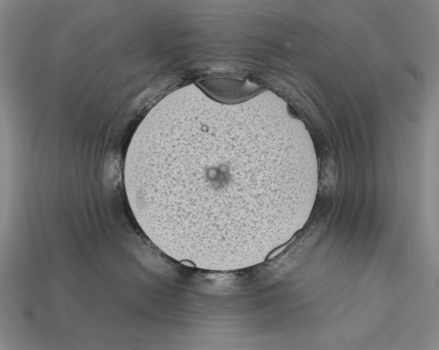 X0000112400478200909110933