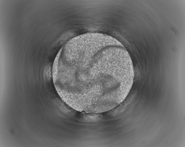 X0000112400479200909110933