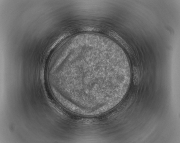 X0000112400482200909110932