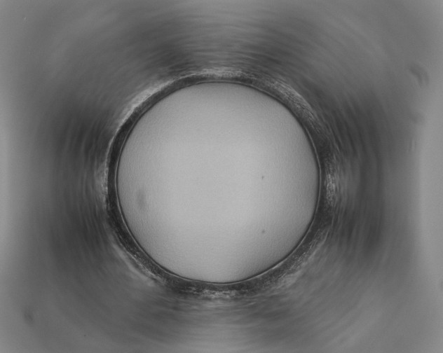 X0000112400484200909110932