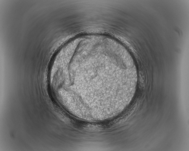 X0000112400487200909110932