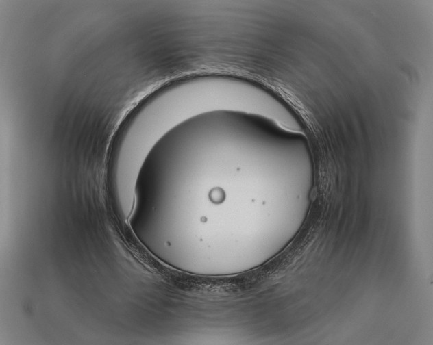 X0000112400488200909110932