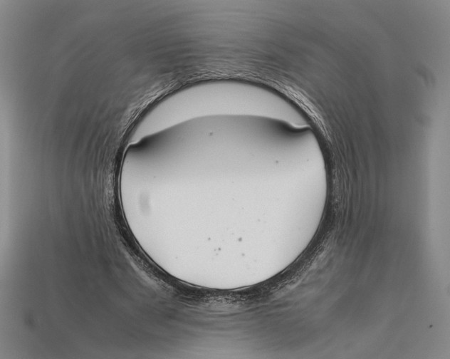 X0000112400489200909110932