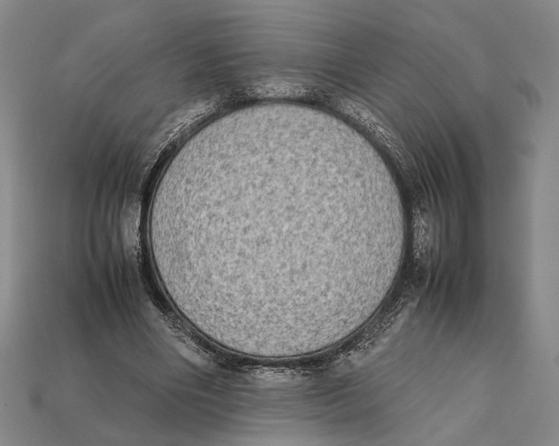 X0000112400490200909110932