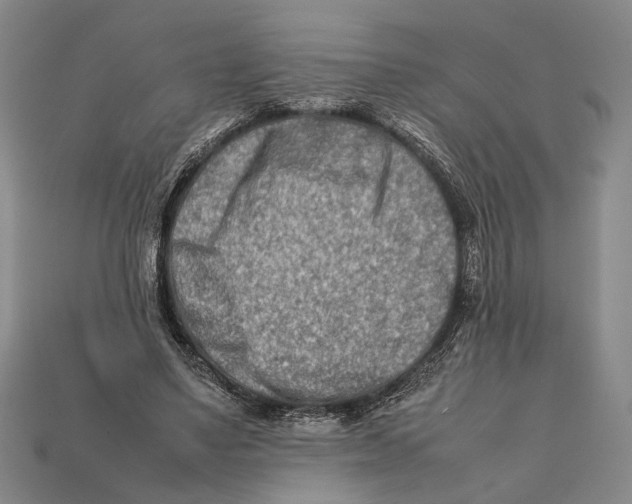 X0000112400491200909110932