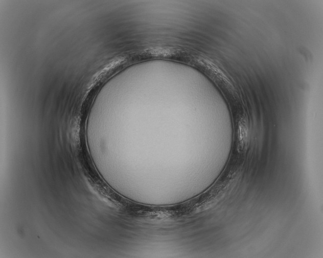 X0000112400492200909110932