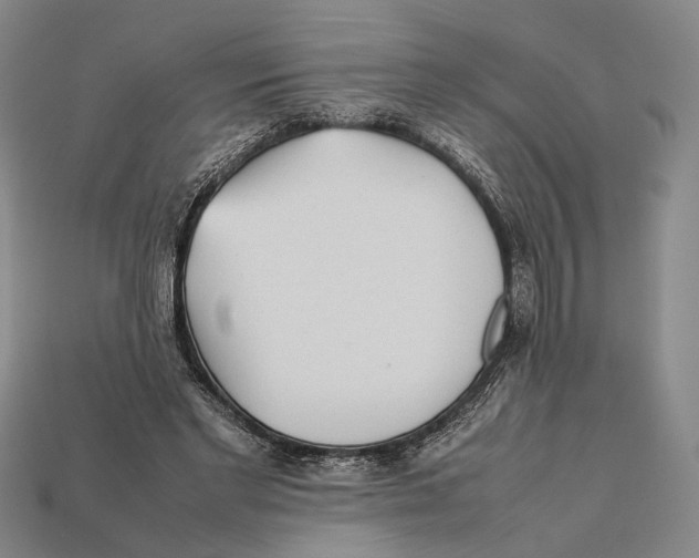 X0000112400493200909110932