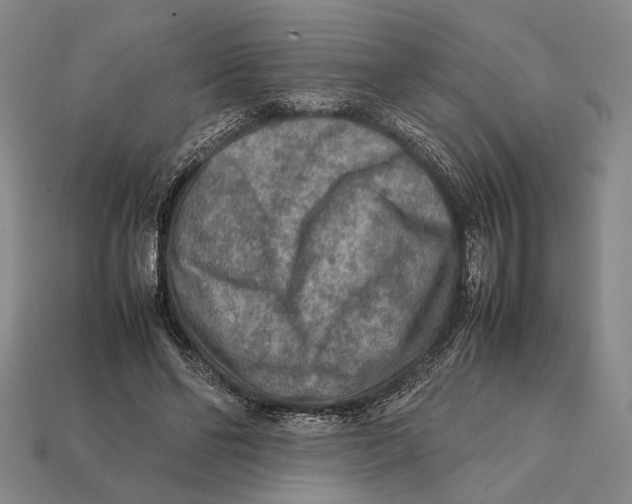 X0000112400494200909110932