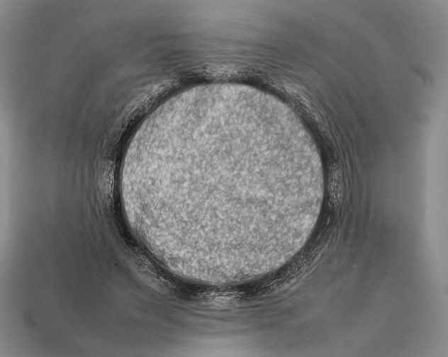 X0000112400495200909110932