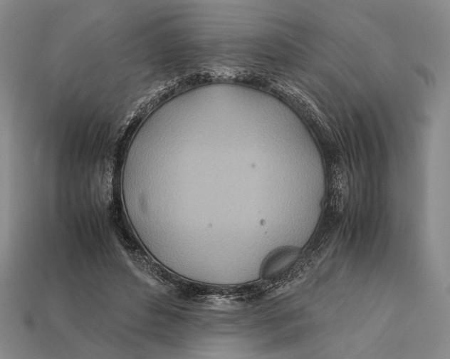 X0000112400496200909110932