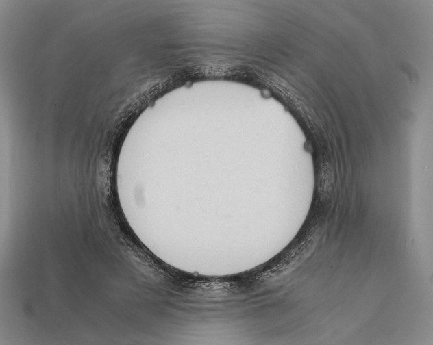 X0000112400497200909110932