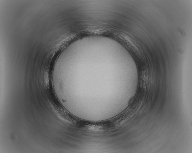 X0000112400500200909110932