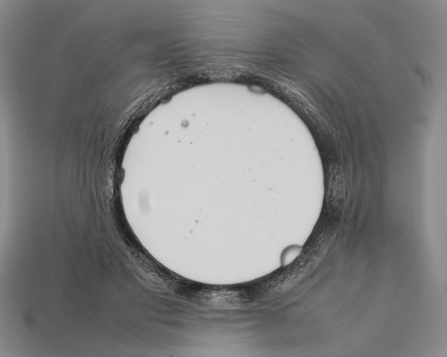X0000112400501200909110932