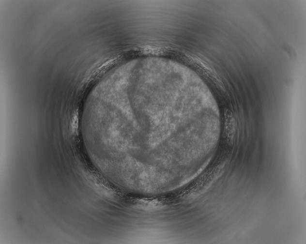 X0000112400502200909110932