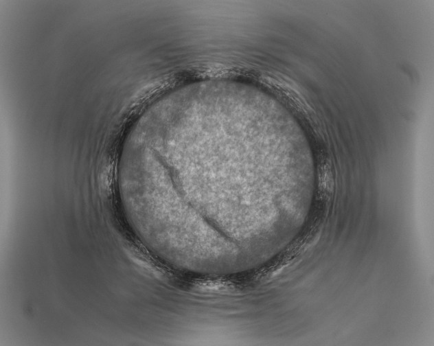 X0000112400503200909110932