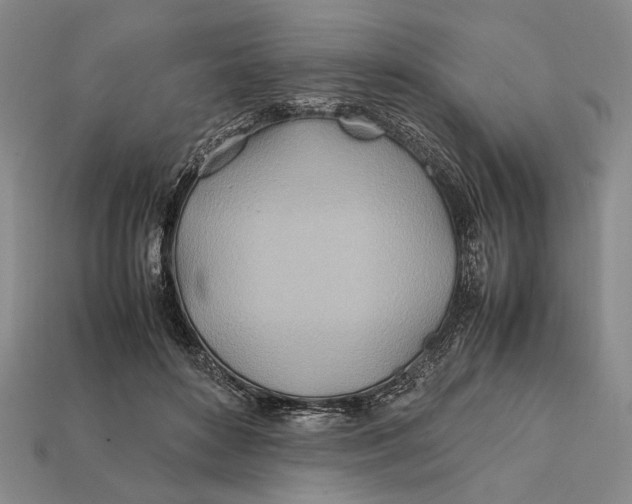 X0000112400504200909110932