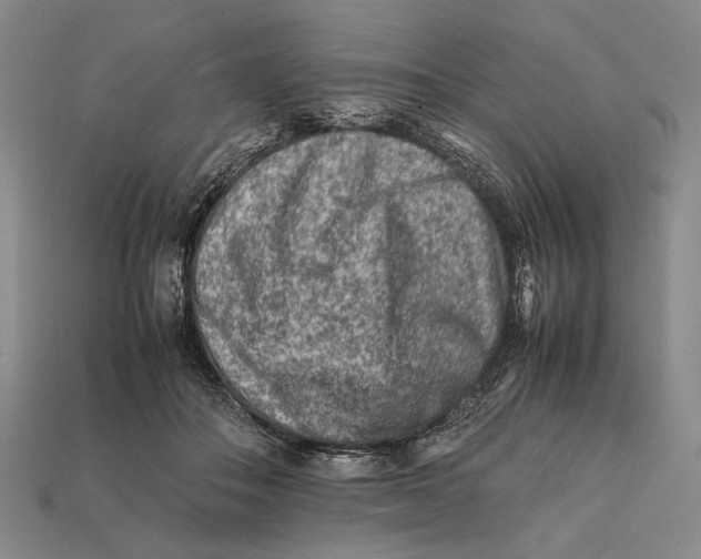 X0000112400506200909110932