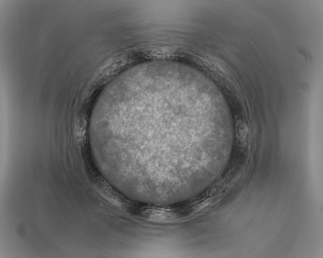 X0000112400507200909110932