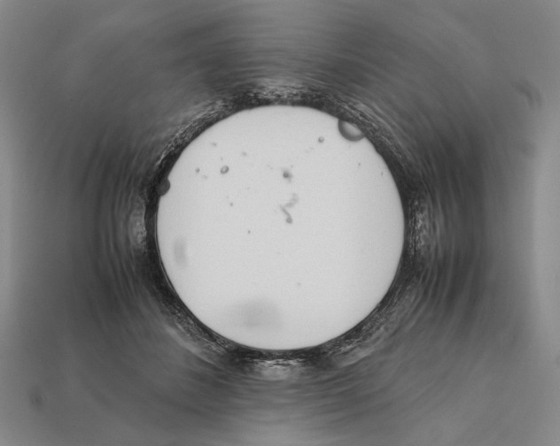 X0000112400508200909110932