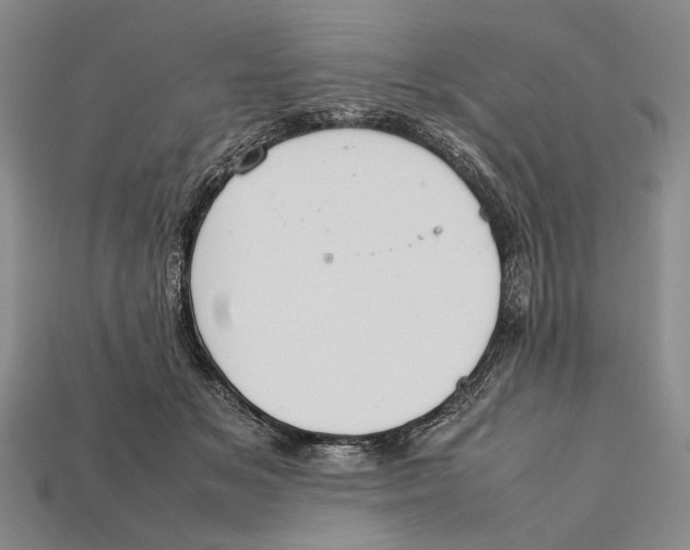 X0000112400509200909110932