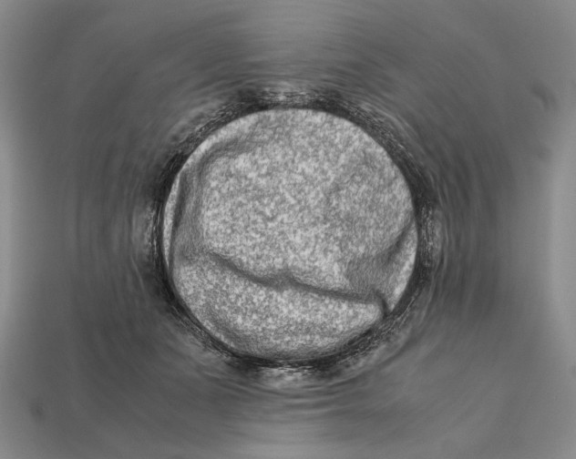 X0000112400511200909110932