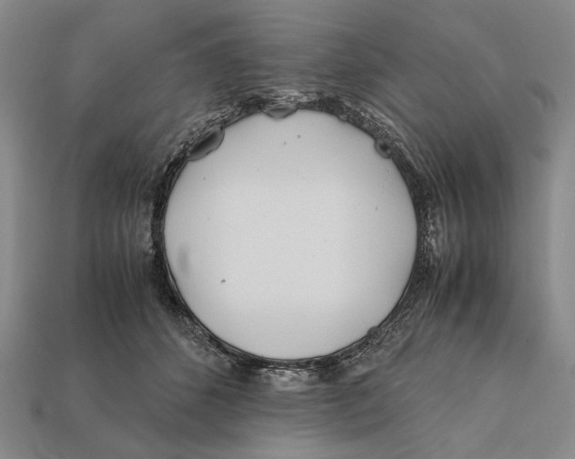 X0000112400512200909110932