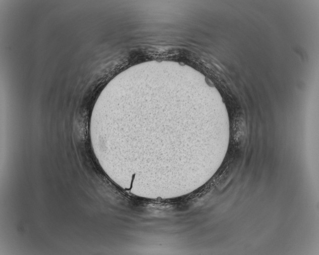 X0000112400515200909110932