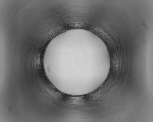 X0000112400516200909110932