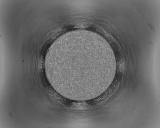 X0000112400517200909110932
