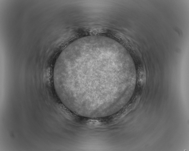 X0000112400519200909110932