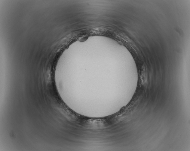 X0000112400520200909110932