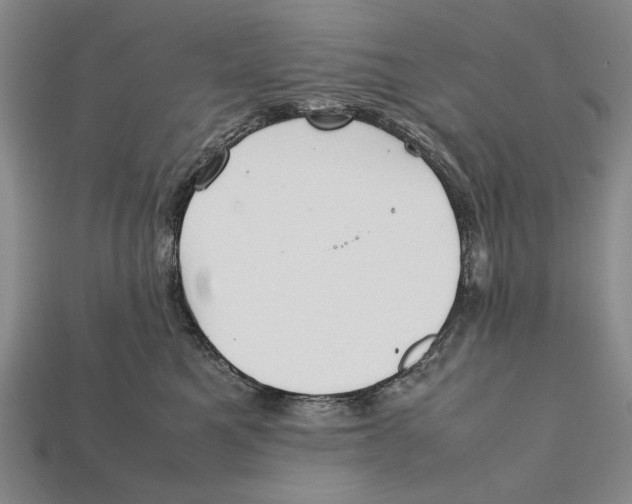 X0000112400521200909110932