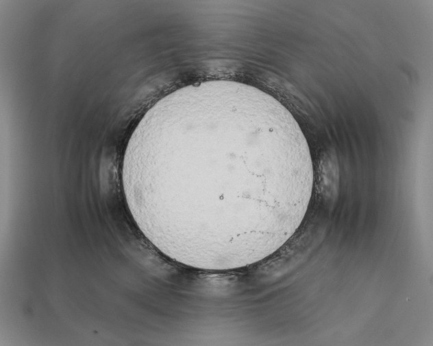 X0000112400522200909110932