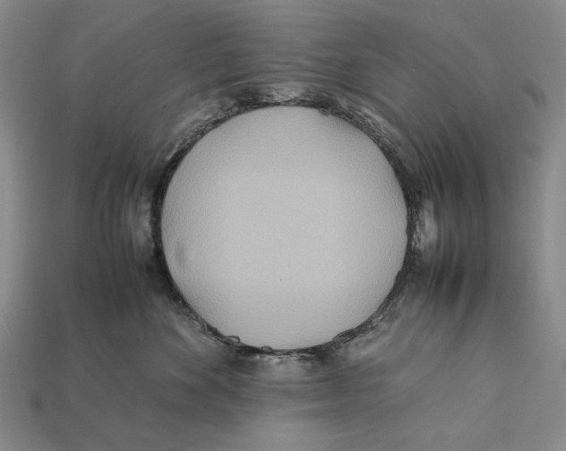 X0000112400524200909110932