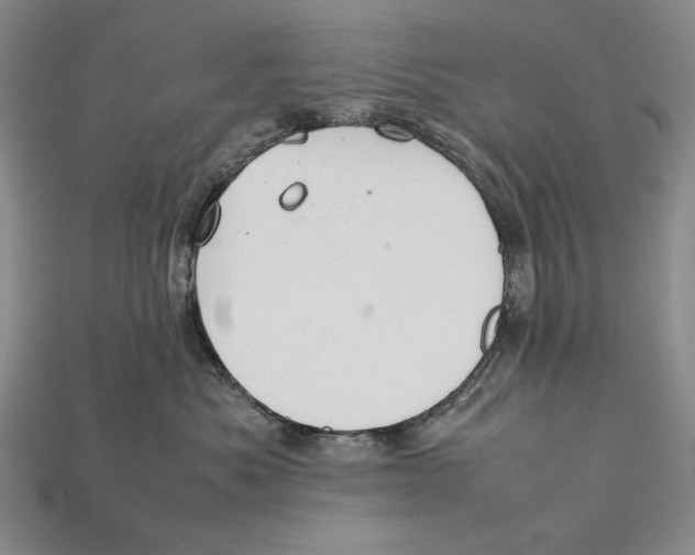 X0000112400525200909110932