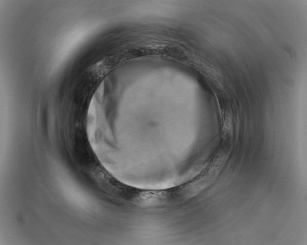 X0000112400526200909110931