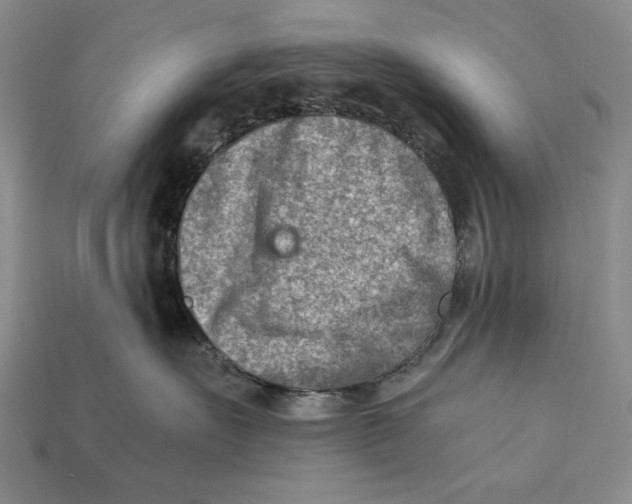 X0000112400527200909110931