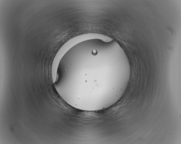 X0000112400528200909110931