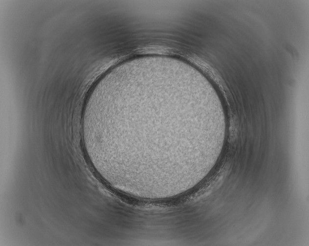 X0000112400529200909110931