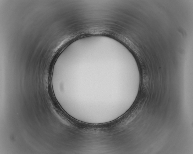 X0000112400530200909110931