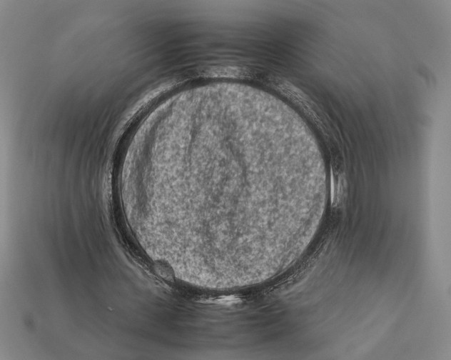X0000112400531200909110931