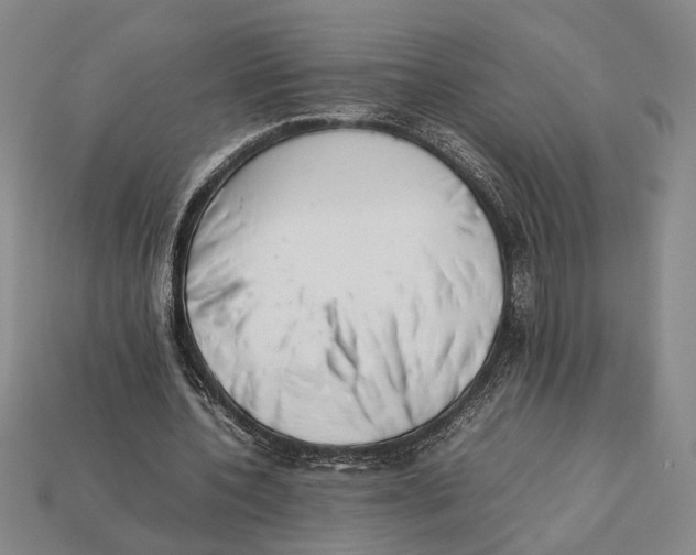 X0000112400532200909110931