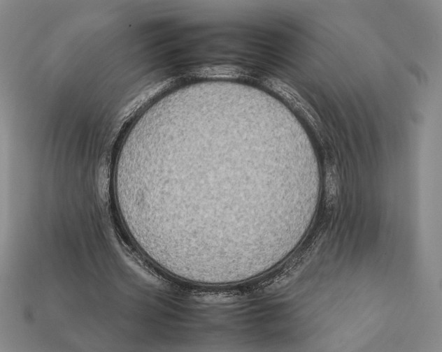 X0000112400533200909110931